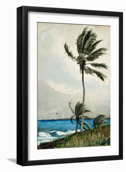 Palm Tree, Nassau, 1898-Winslow Homer-Framed Premium Giclee Print