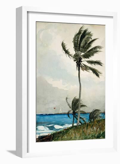 Palm Tree, Nassau, 1898-Winslow Homer-Framed Premium Giclee Print