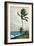 Palm Tree, Nassau, 1898-Winslow Homer-Framed Premium Giclee Print