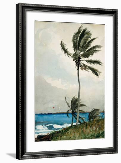 Palm Tree, Nassau, 1898-Winslow Homer-Framed Giclee Print