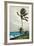 Palm Tree, Nassau, 1898-Winslow Homer-Framed Giclee Print