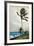 Palm Tree, Nassau, 1898-Winslow Homer-Framed Giclee Print