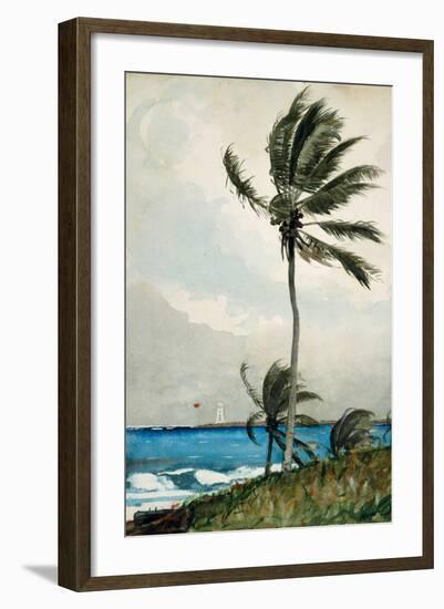 Palm Tree, Nassau, 1898-Winslow Homer-Framed Giclee Print