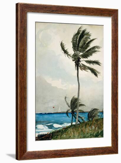 Palm Tree, Nassau, 1898-Winslow Homer-Framed Giclee Print