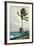 Palm Tree, Nassau, 1898-Winslow Homer-Framed Giclee Print