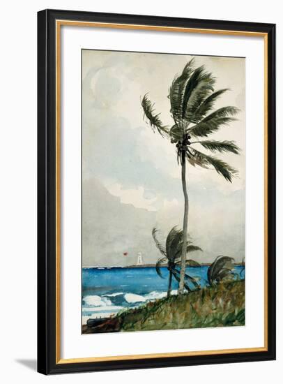 Palm Tree, Nassau, 1898-Winslow Homer-Framed Giclee Print