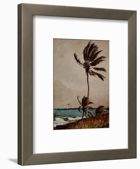 Palm Tree, Nassau-Winslow Homer-Framed Art Print