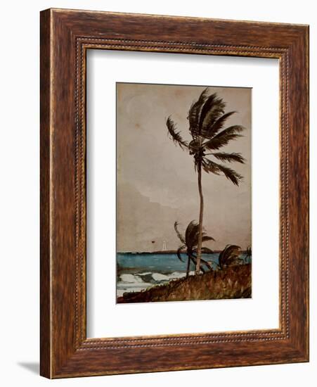 Palm Tree, Nassau-Winslow Homer-Framed Art Print