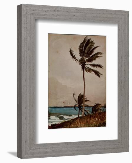 Palm Tree, Nassau-Winslow Homer-Framed Art Print