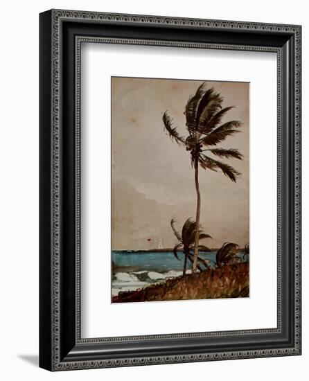 Palm Tree, Nassau-Winslow Homer-Framed Art Print