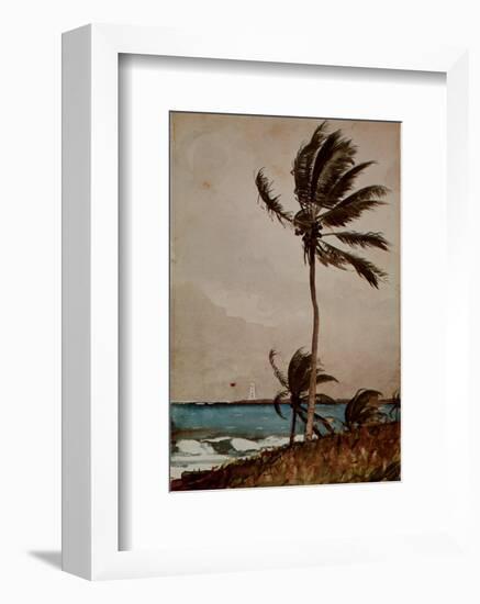 Palm Tree, Nassau-Winslow Homer-Framed Art Print