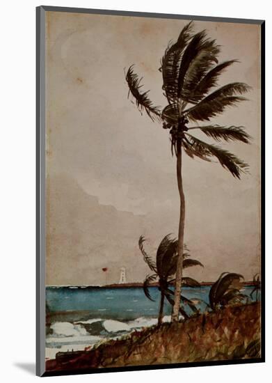 Palm Tree, Nassau-Winslow Homer-Mounted Art Print