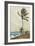 Palm Tree, Nassau-Winslow Homer-Framed Collectable Print