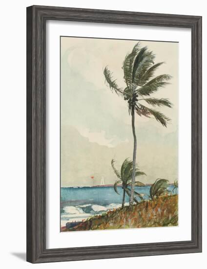 Palm Tree, Nassau-Winslow Homer-Framed Collectable Print