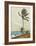 Palm Tree, Nassau-Winslow Homer-Framed Collectable Print