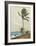 Palm Tree, Nassau-Winslow Homer-Framed Collectable Print