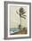 Palm Tree, Nassau-Winslow Homer-Framed Collectable Print