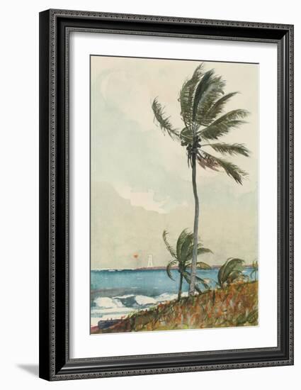 Palm Tree, Nassau-Winslow Homer-Framed Collectable Print