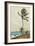 Palm Tree, Nassau-Winslow Homer-Framed Collectable Print