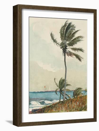 Palm Tree, Nassau-Winslow Homer-Framed Collectable Print