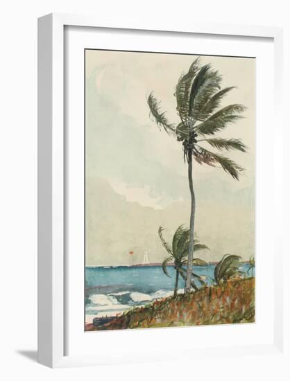 Palm Tree, Nassau-Winslow Homer-Framed Collectable Print