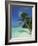 Palm Tree on a Tropical Beach on Embudu in the Maldive Islands, Indian Ocean-Fraser Hall-Framed Photographic Print