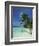 Palm Tree on a Tropical Beach on Embudu in the Maldive Islands, Indian Ocean-Fraser Hall-Framed Photographic Print