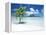 Palm Tree on a Tropical Beach-null-Framed Premier Image Canvas