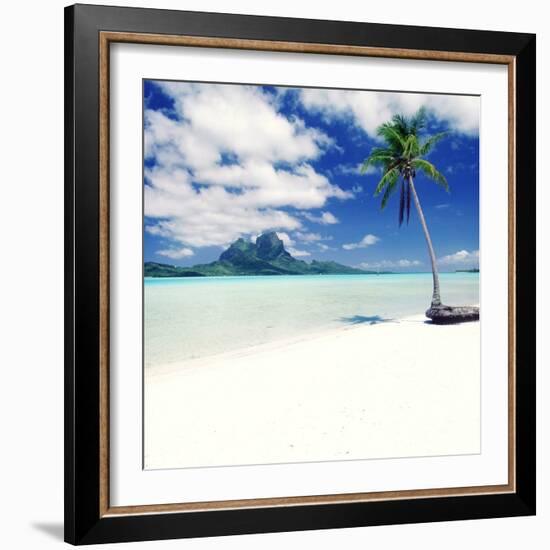 Palm Tree on a Tropical Beach-null-Framed Photographic Print