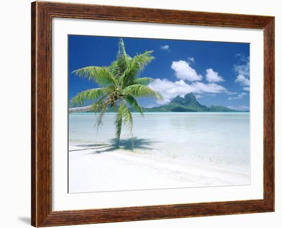 Palm Tree on a Tropical Beach-null-Framed Photographic Print