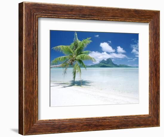 Palm Tree on a Tropical Beach-null-Framed Photographic Print