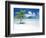 Palm Tree on a Tropical Beach-null-Framed Photographic Print