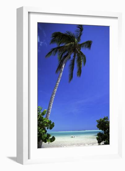 Palm Tree on a White Sand Beach, Bahamas-Natalie Tepper-Framed Photographic Print