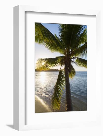 Palm Tree on Beach at Hauru Point, Mo'Orea, Society Islands, French Polynesia-Ian Trower-Framed Photographic Print