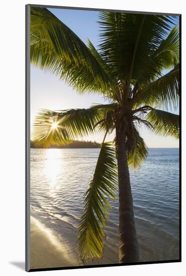 Palm Tree on Beach at Hauru Point, Mo'Orea, Society Islands, French Polynesia-Ian Trower-Mounted Photographic Print