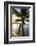 Palm Tree on Beach at Hauru Point, Mo'Orea, Society Islands, French Polynesia-Ian Trower-Framed Photographic Print