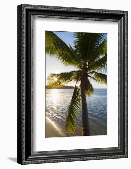 Palm Tree on Beach at Hauru Point, Mo'Orea, Society Islands, French Polynesia-Ian Trower-Framed Photographic Print