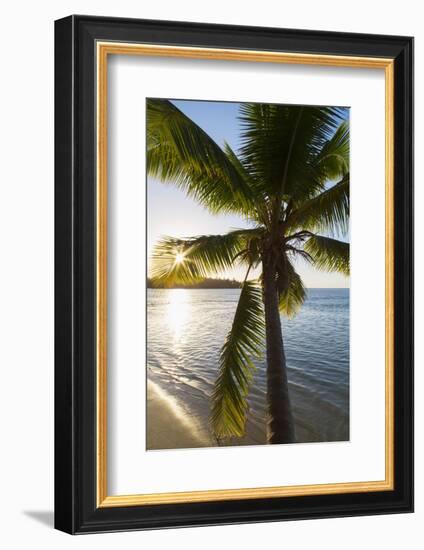 Palm Tree on Beach at Hauru Point, Mo'Orea, Society Islands, French Polynesia-Ian Trower-Framed Photographic Print