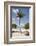 Palm Tree on Beach at Magens Bay-Macduff Everton-Framed Photographic Print