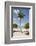 Palm Tree on Beach at Magens Bay-Macduff Everton-Framed Photographic Print