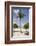 Palm Tree on Beach at Magens Bay-Macduff Everton-Framed Photographic Print