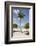 Palm Tree on Beach at Magens Bay-Macduff Everton-Framed Photographic Print