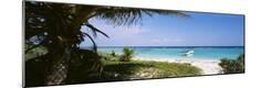 Photographic Print