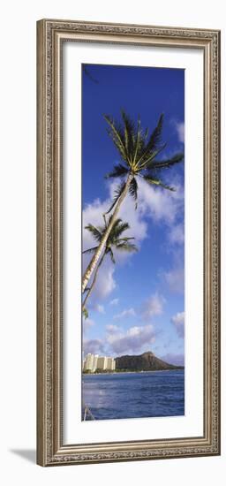 Palm Tree on the Beach, Diamond Head, Waikiki Beach, Honolulu, Oahu, Hawaii, Usa-null-Framed Photographic Print