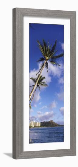 Palm Tree on the Beach, Diamond Head, Waikiki Beach, Honolulu, Oahu, Hawaii, Usa-null-Framed Photographic Print