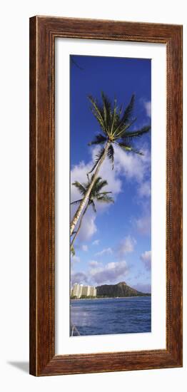 Palm Tree on the Beach, Diamond Head, Waikiki Beach, Honolulu, Oahu, Hawaii, Usa-null-Framed Photographic Print