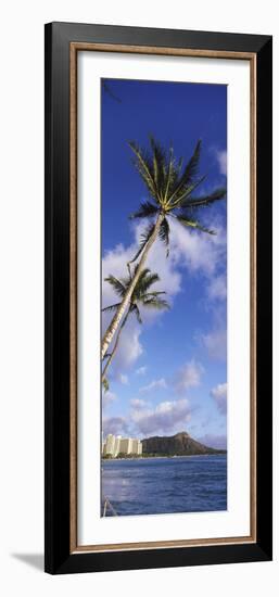 Palm Tree on the Beach, Diamond Head, Waikiki Beach, Honolulu, Oahu, Hawaii, Usa-null-Framed Photographic Print