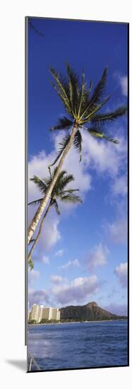 Palm Tree on the Beach, Diamond Head, Waikiki Beach, Honolulu, Oahu, Hawaii, Usa-null-Mounted Photographic Print
