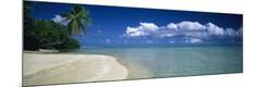 Photographic Print