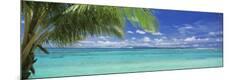 Premium Photographic Print